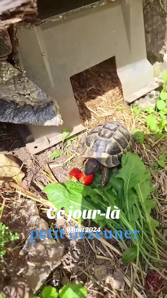 @VirGinie 27✌️💕