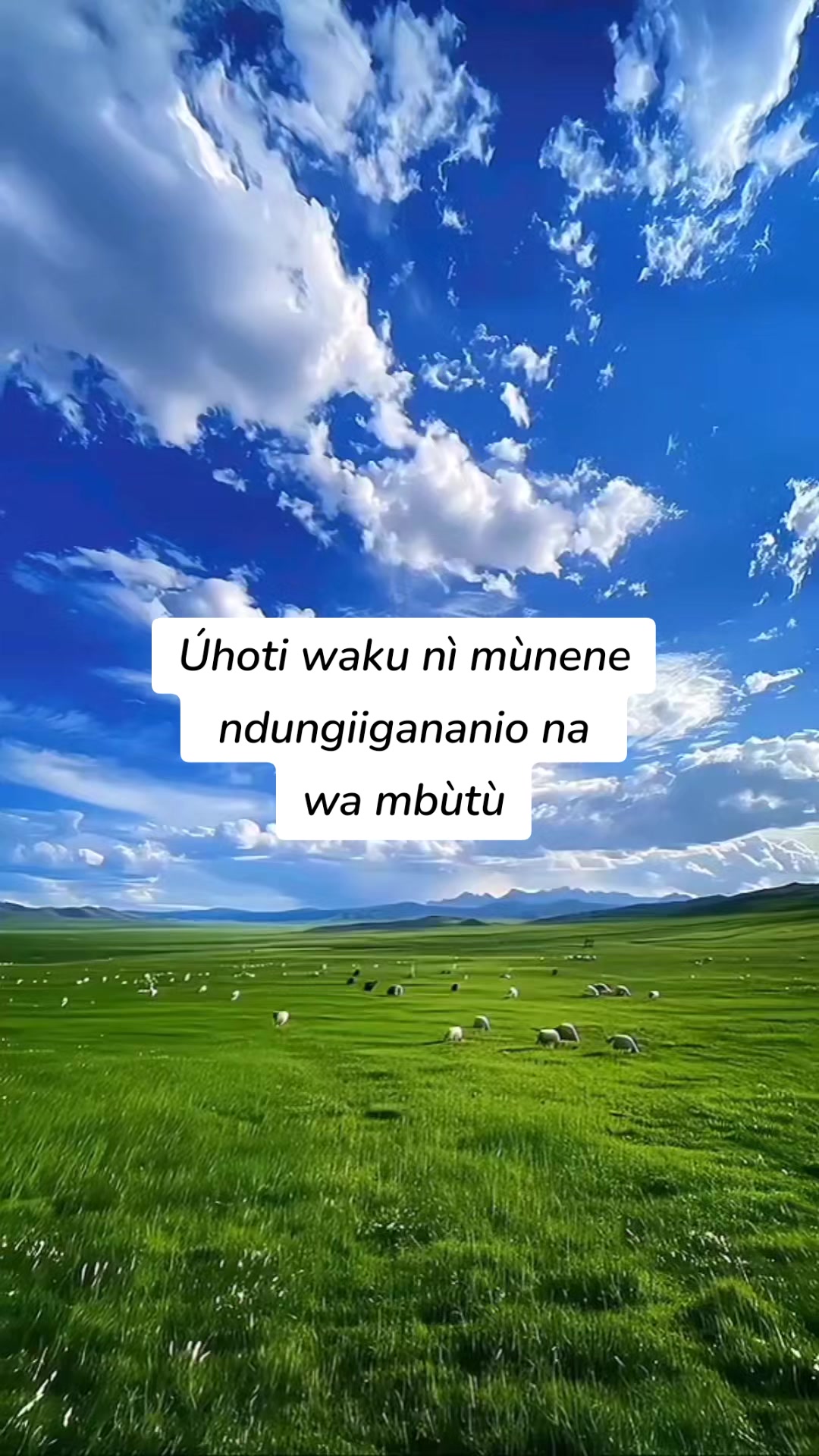 @Wamorganrozzy002