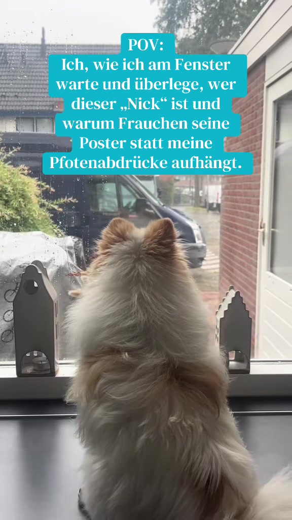 @dieKuschelpuschels🧸✨🩷