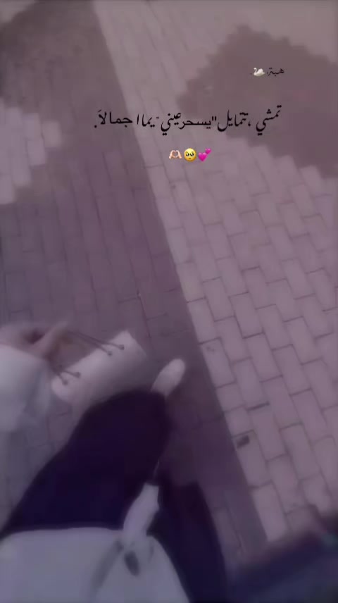 @هبِهۃِةَ🦢.