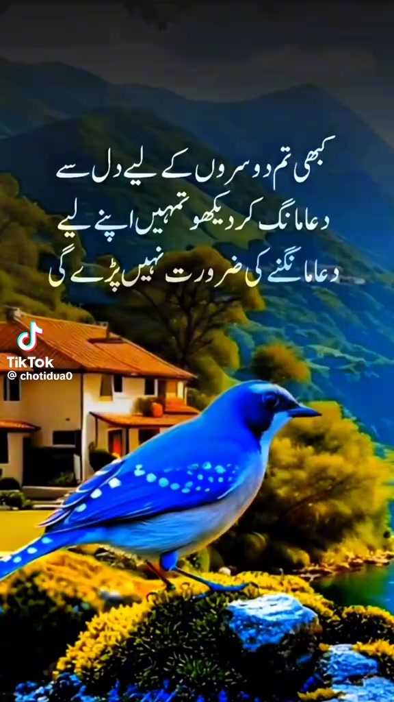 @muhammadyaqoob33721