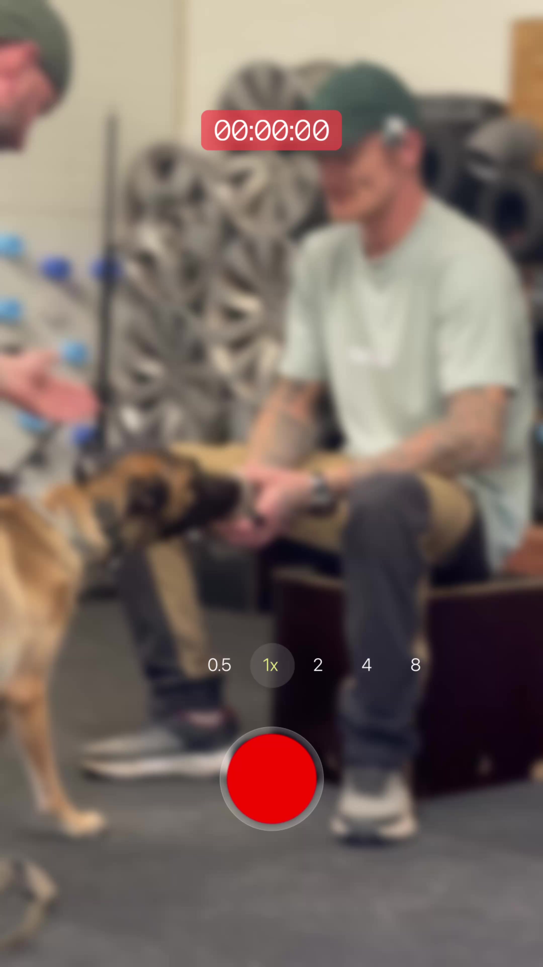 @k9spartan