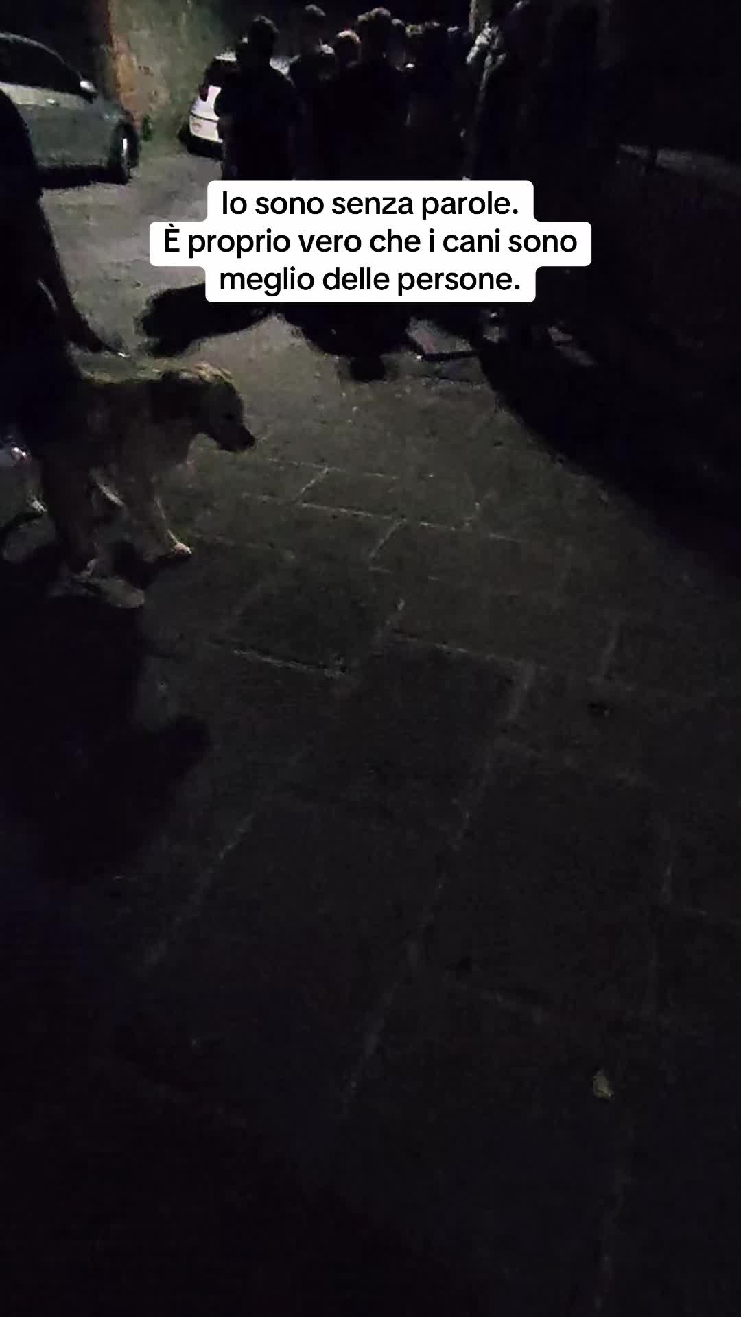 @Edopit94