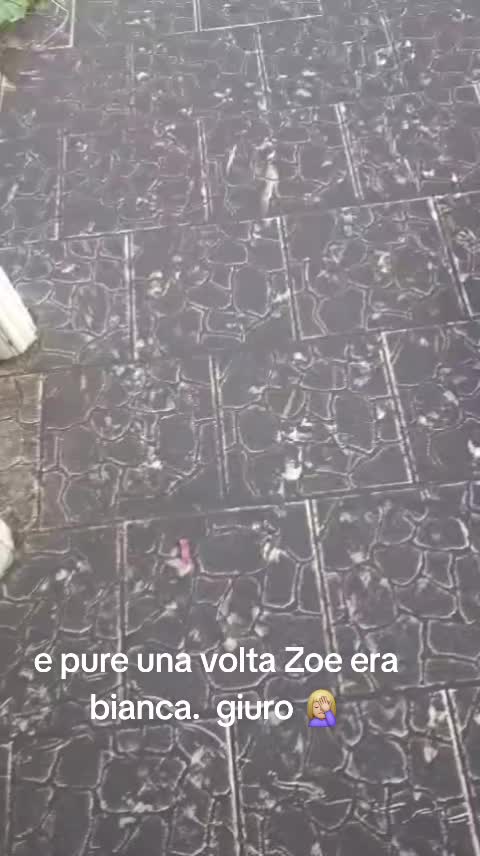 @๐โโก~~Nunzia~~โกโ๐