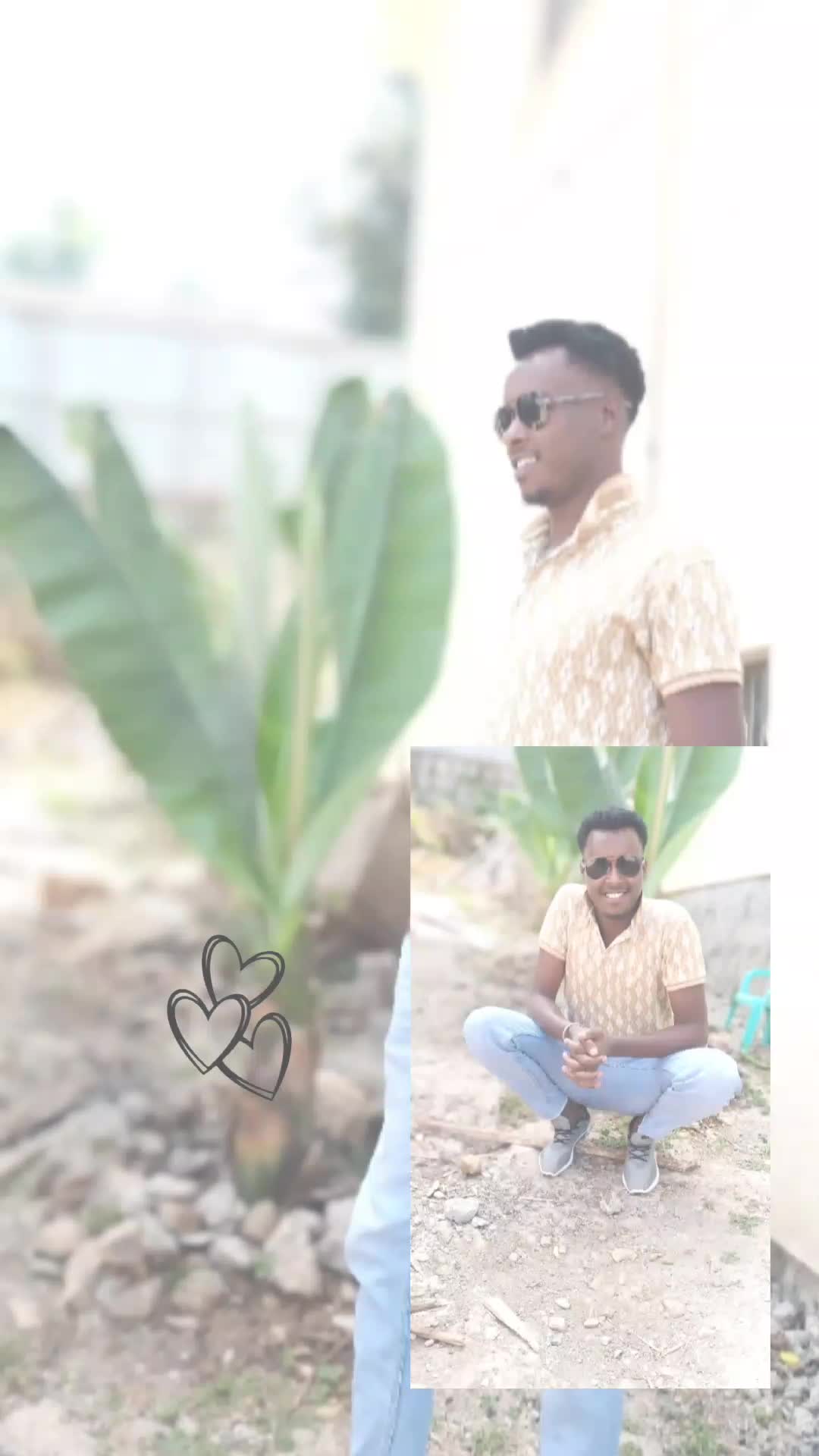@A S H E N A F I   N