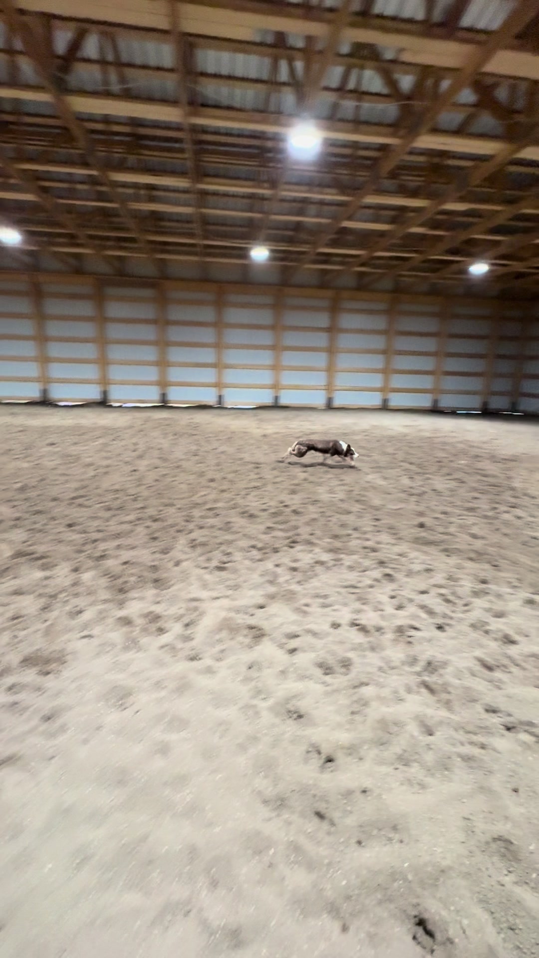 @Ducestockdogs&QuarterHorses