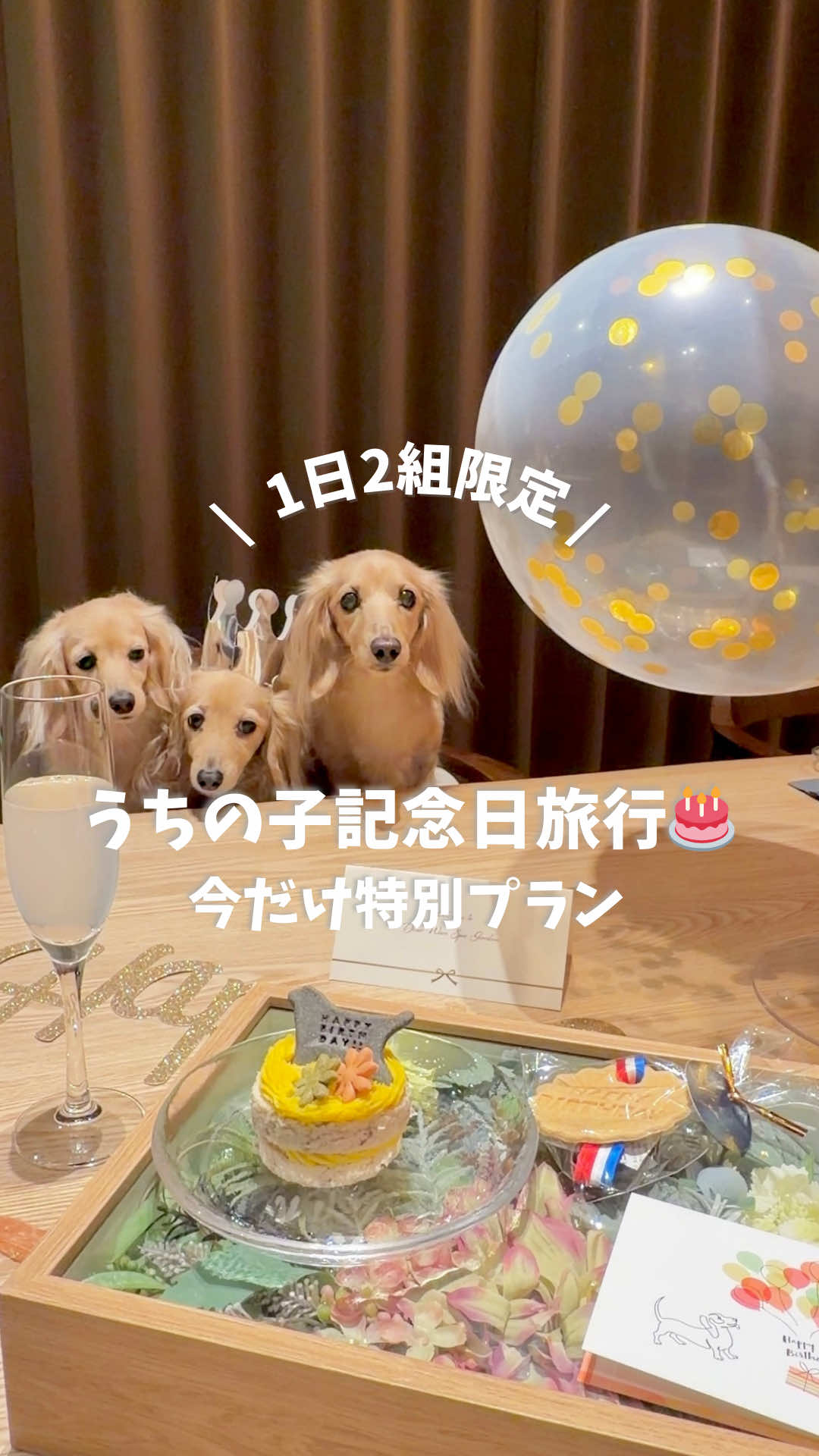 @🎀もあらなまぅ🎀