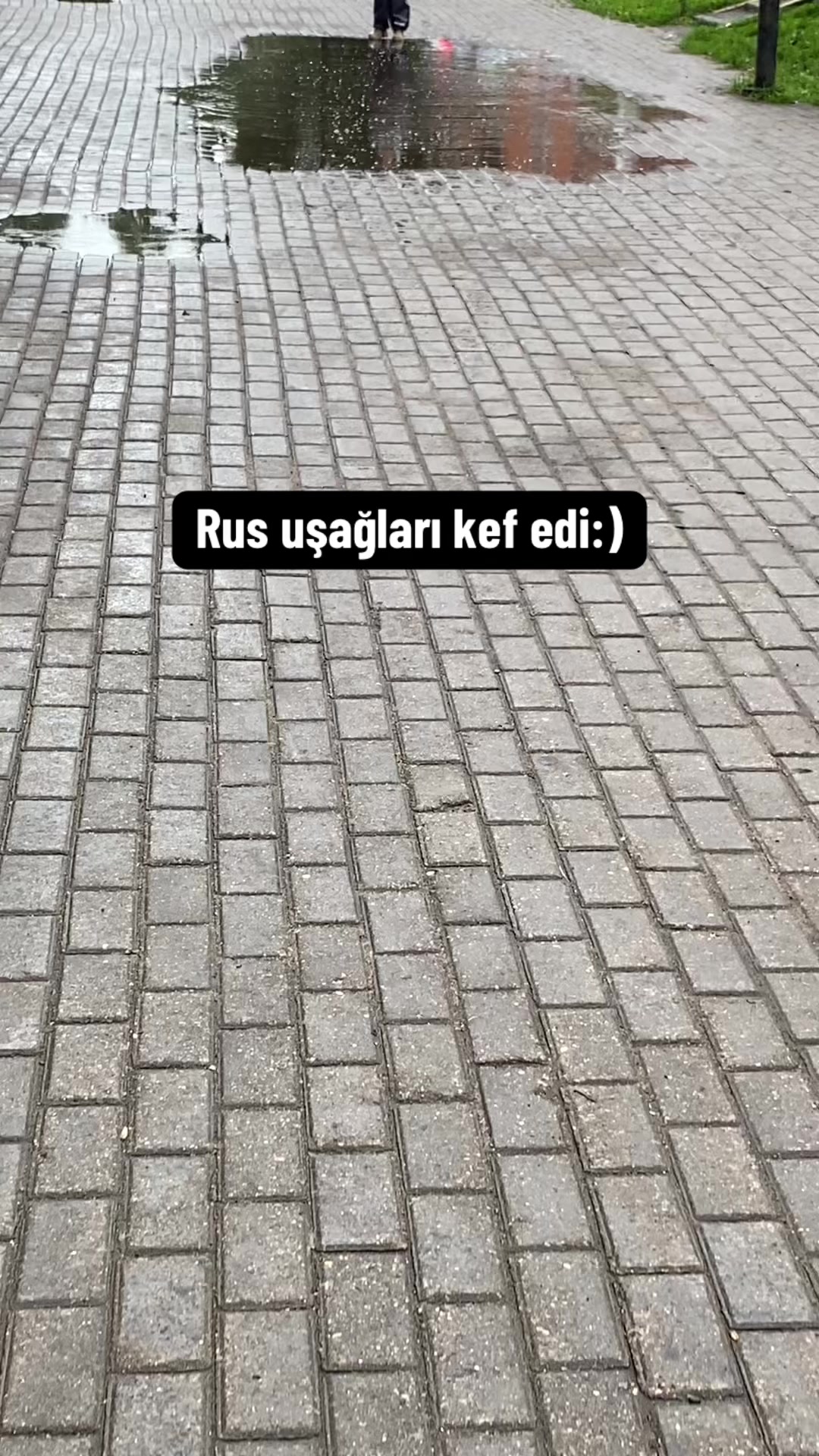 @gagli722