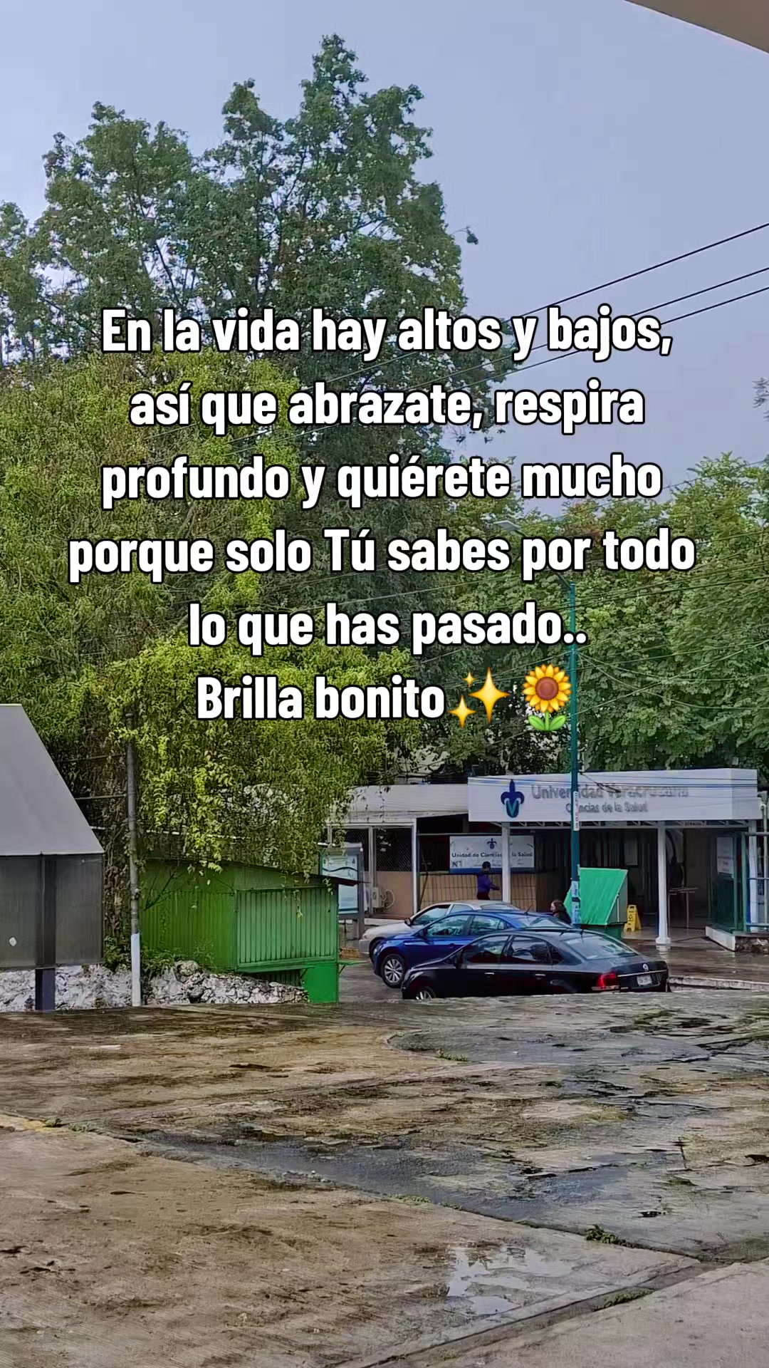 @ᥫ᭡𝑵𝒂𝒏𝒄𝒚🌻🩷👑