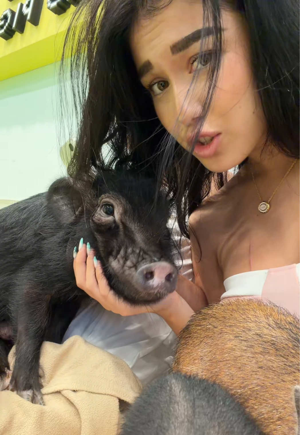 @geishachan