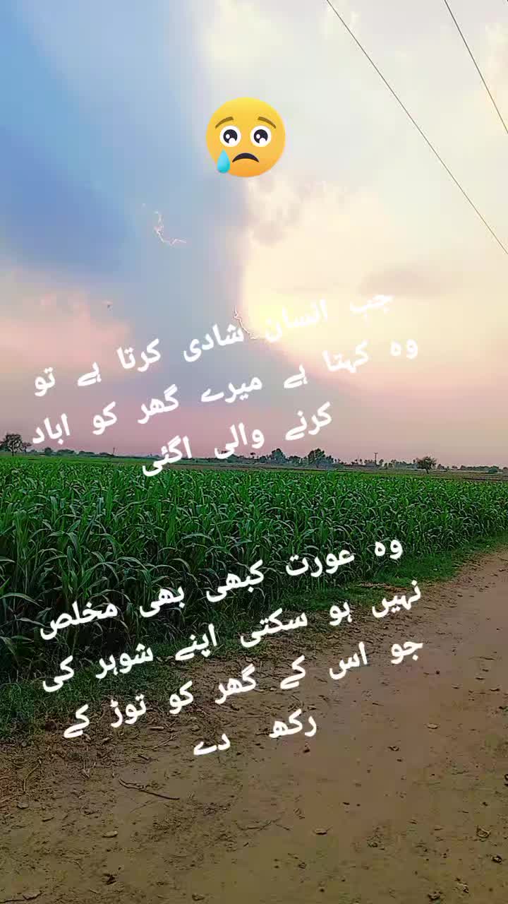 @shafqat Ali 4