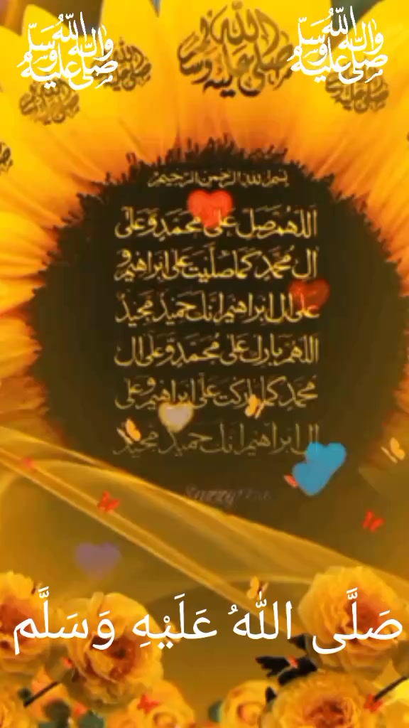 @Haidar Ali