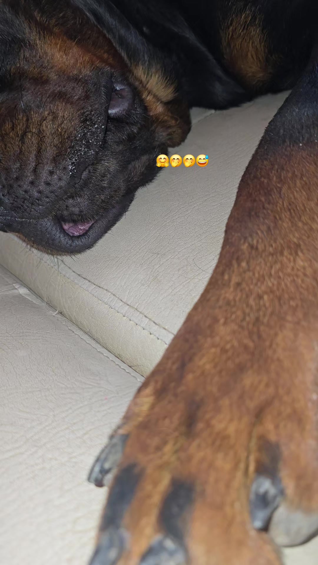 @𝕄𝕒𝕣𝕚𝕥𝕫𝕒.𝕔𝕣