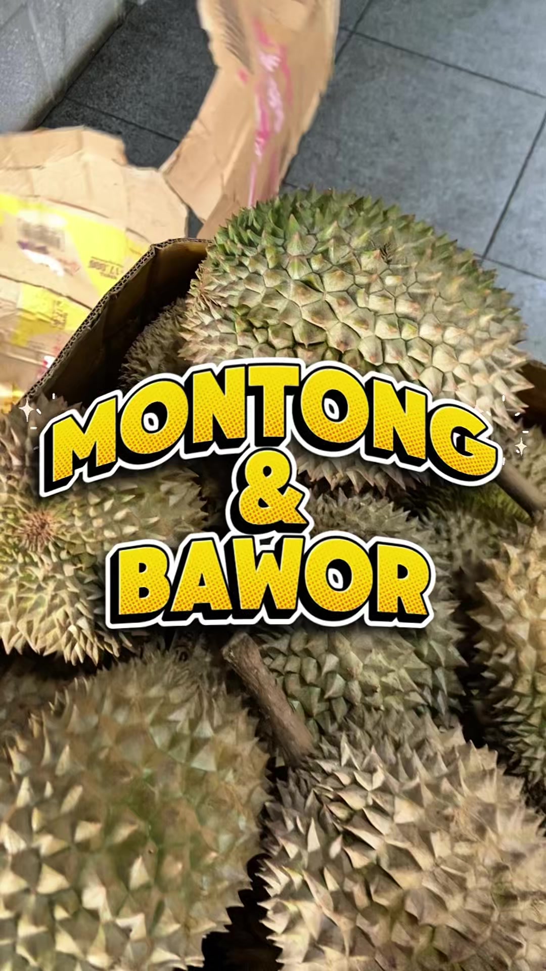 @CICIP DURIAN