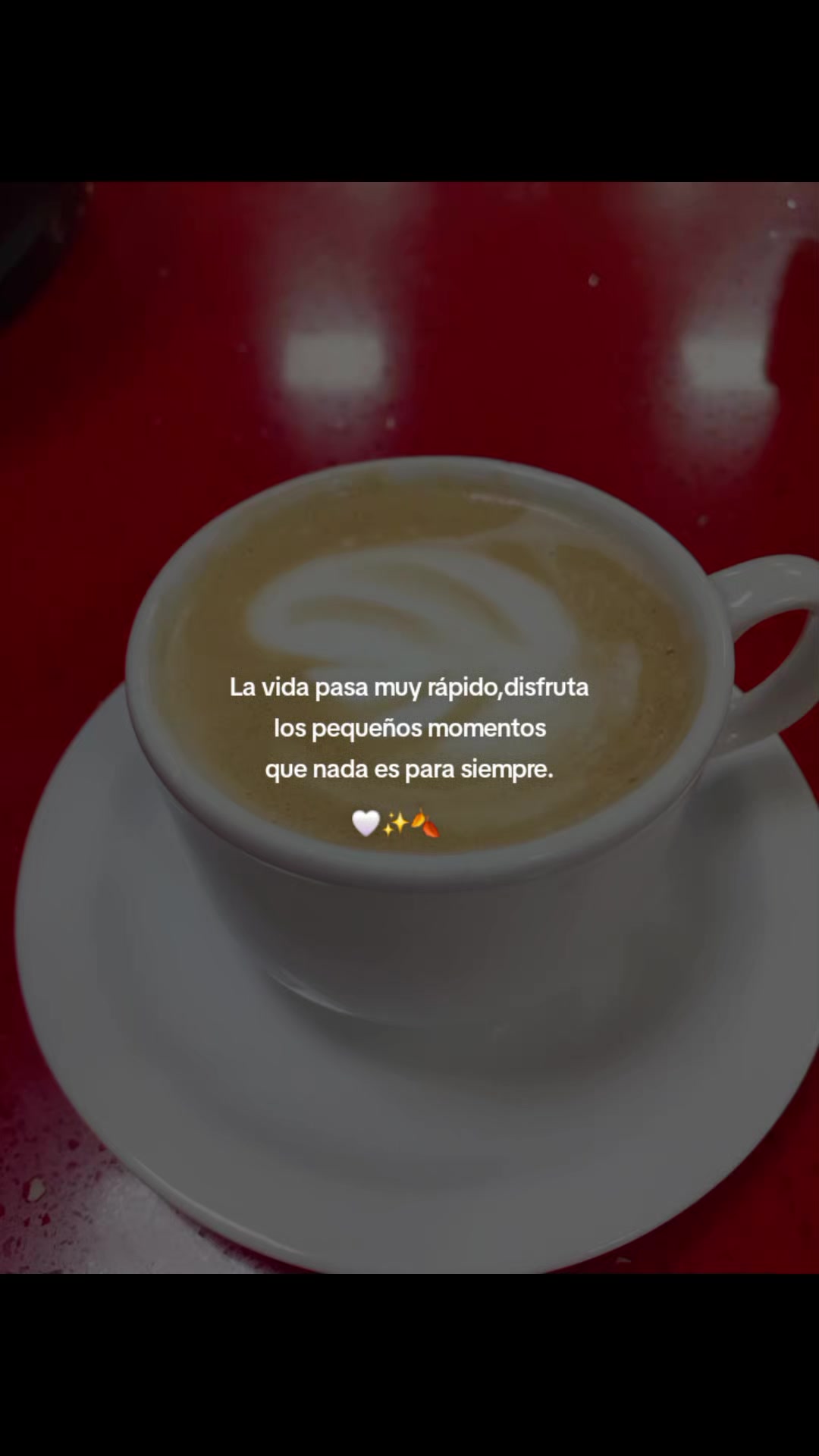 @🎀✨️Alexandra 503🎀✨️💜
