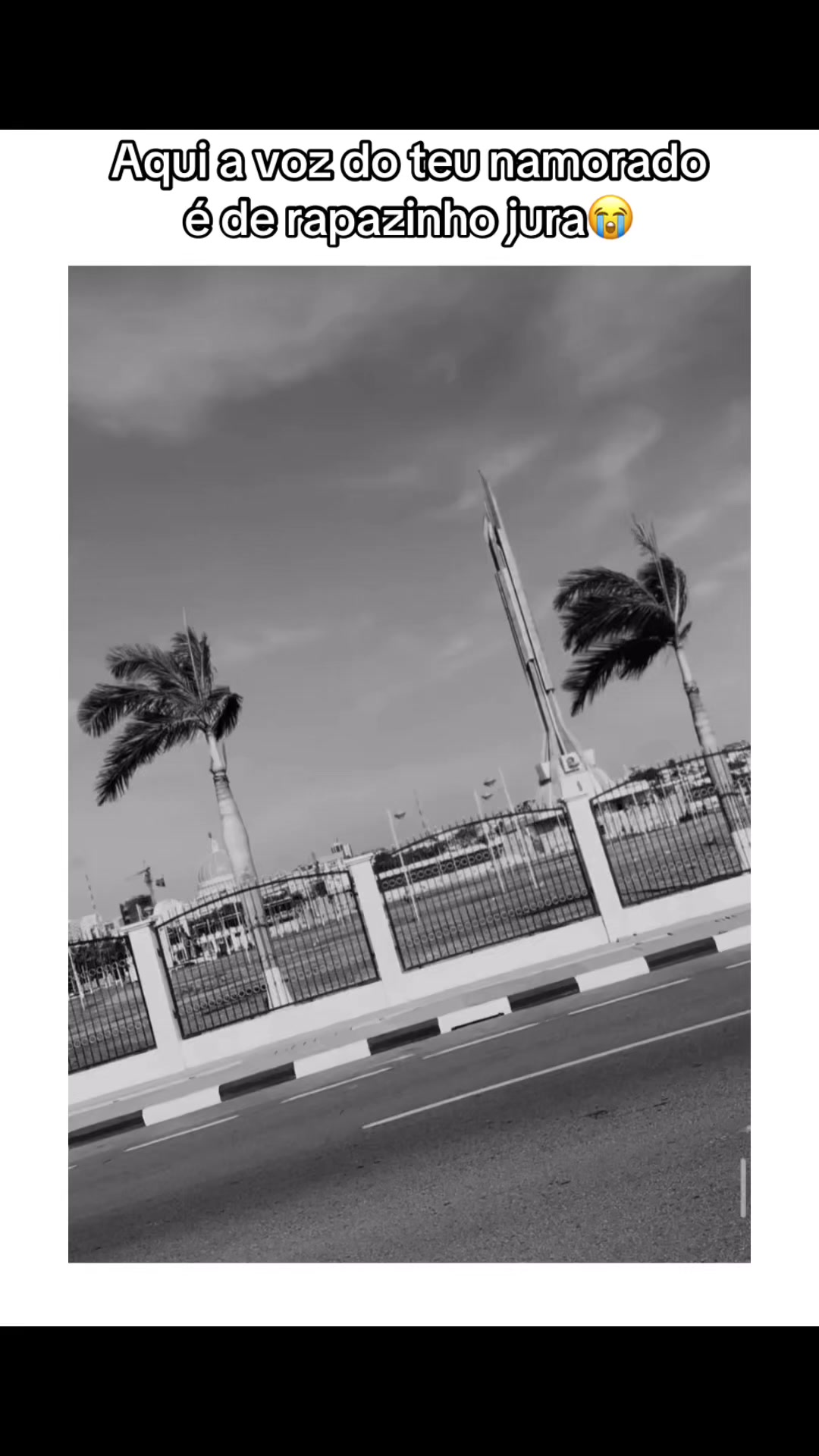 @Armando _Gon&ccedil;alves 🚨🇦🇴