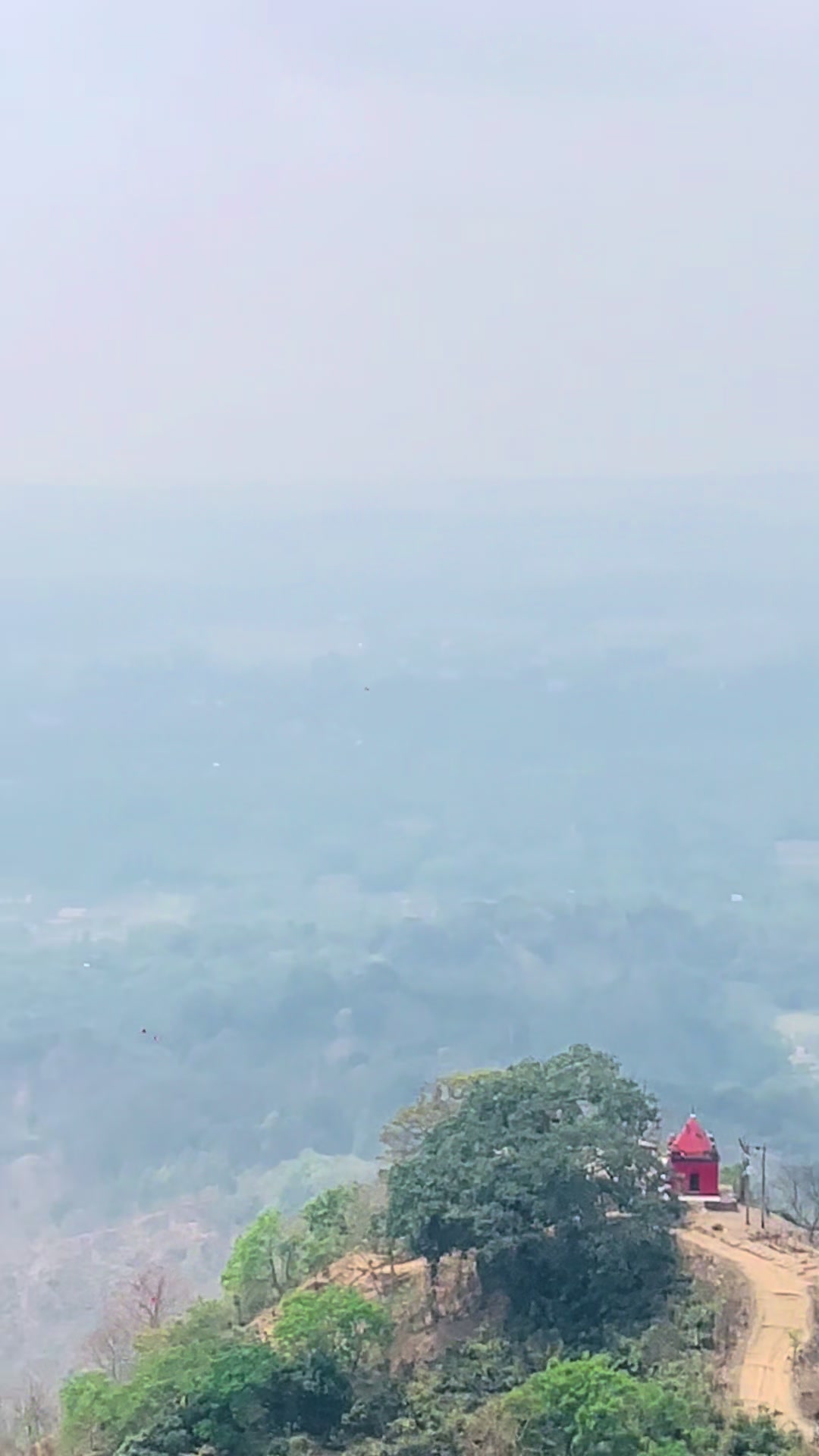 @niloyraj571