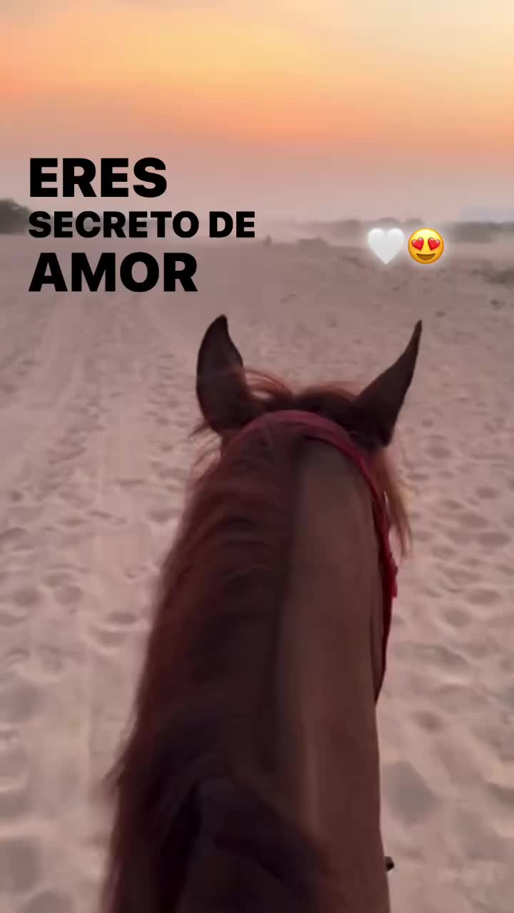 @Norteñas sax