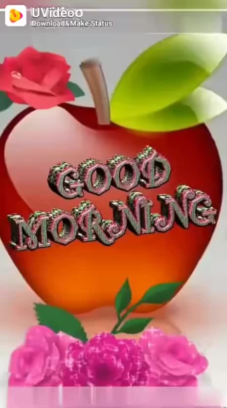 @user2158660559292