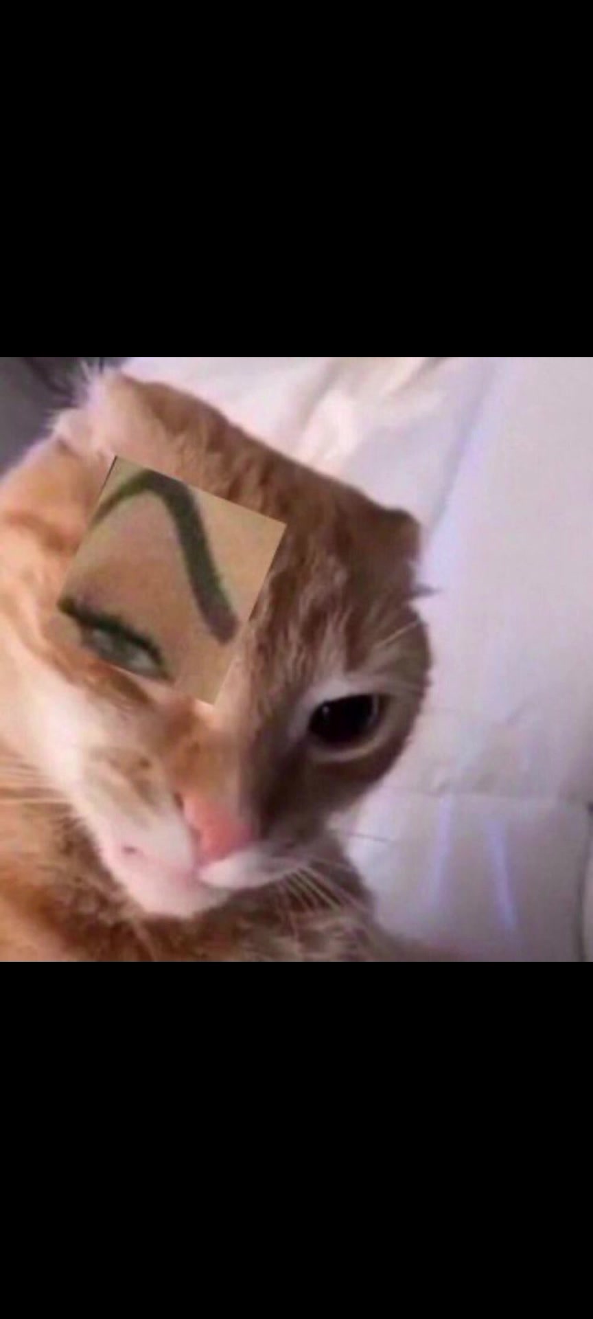 @Люблю Н