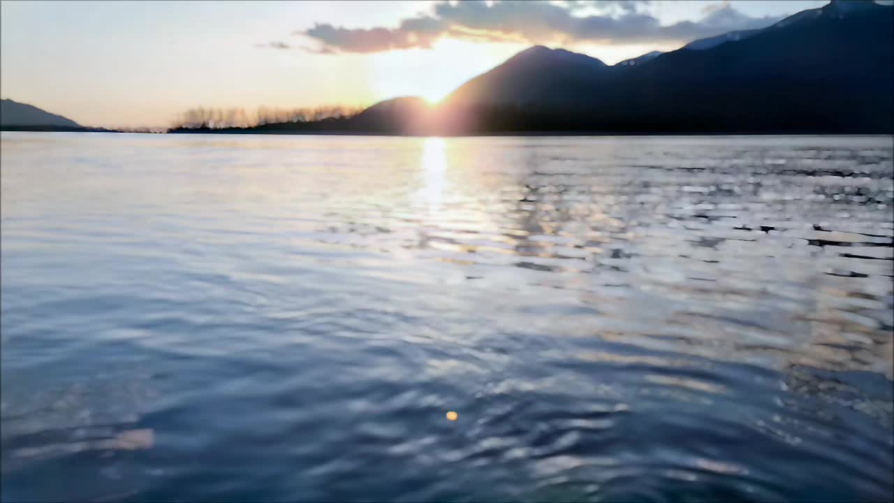 @BC WILDLIFE JETBOAT TOURS