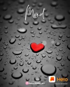 @kajal borade