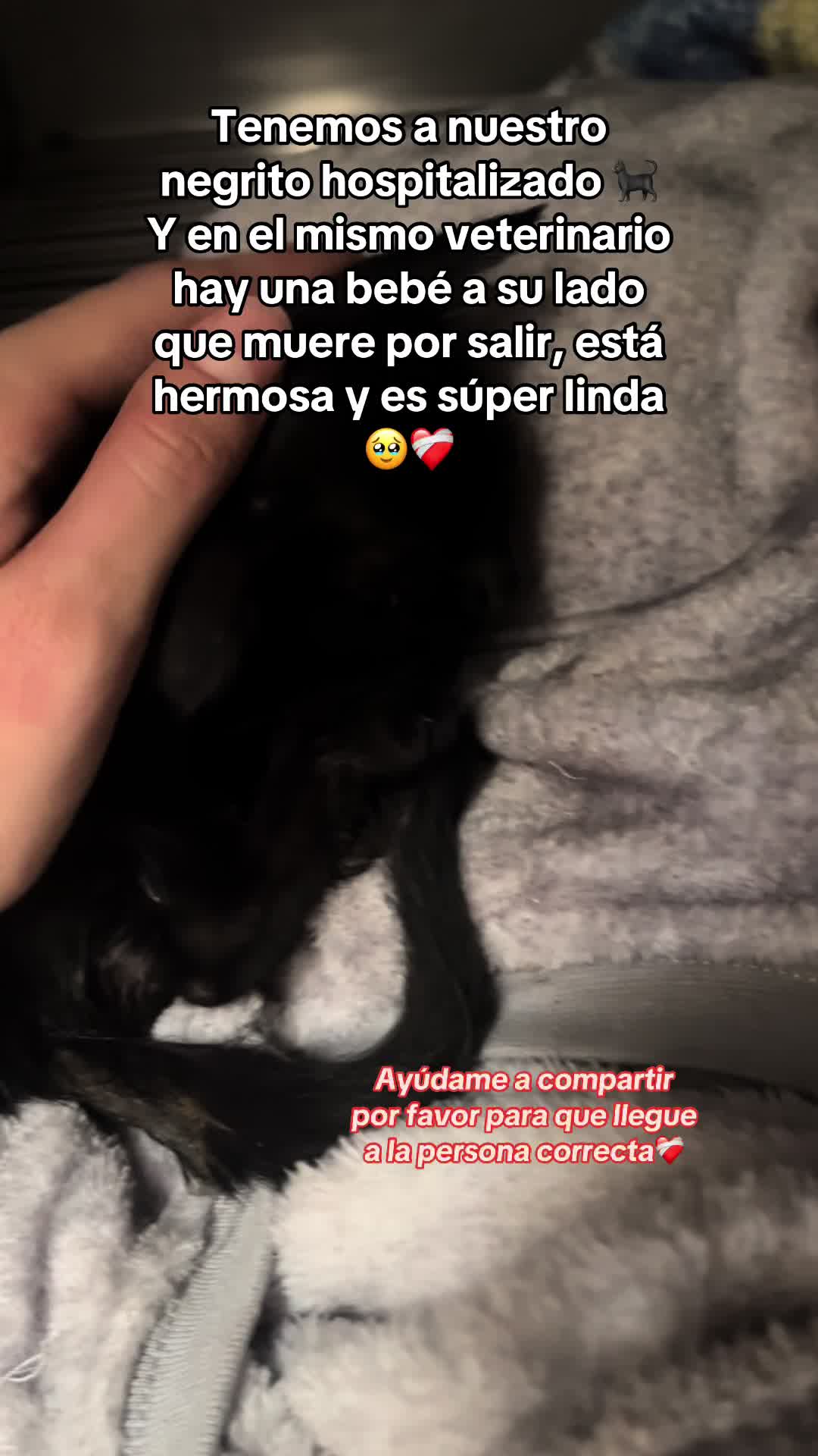 @Mariana Trinidad