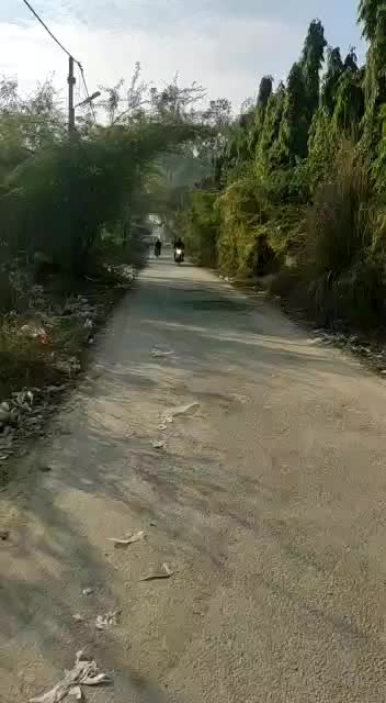 @pahadidaud