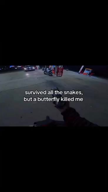 @twisted6ghost
