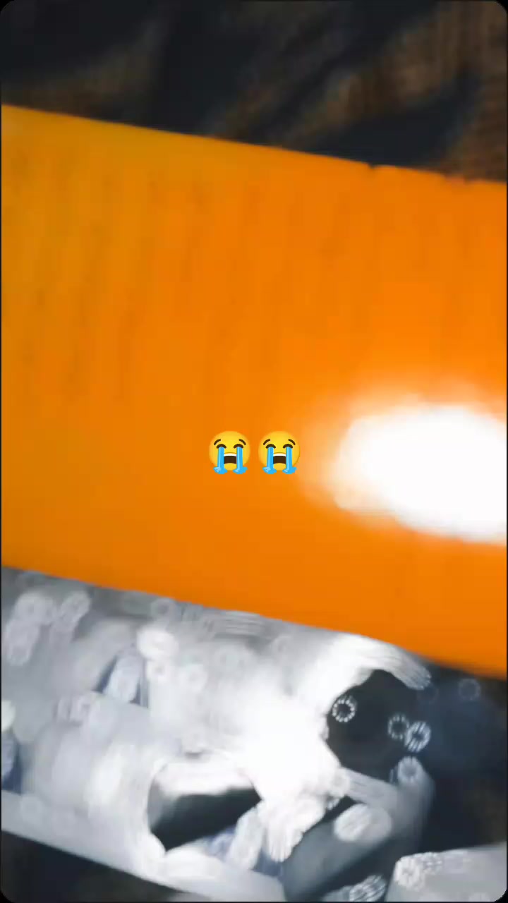 @diplo ka shahzada 💞🥀