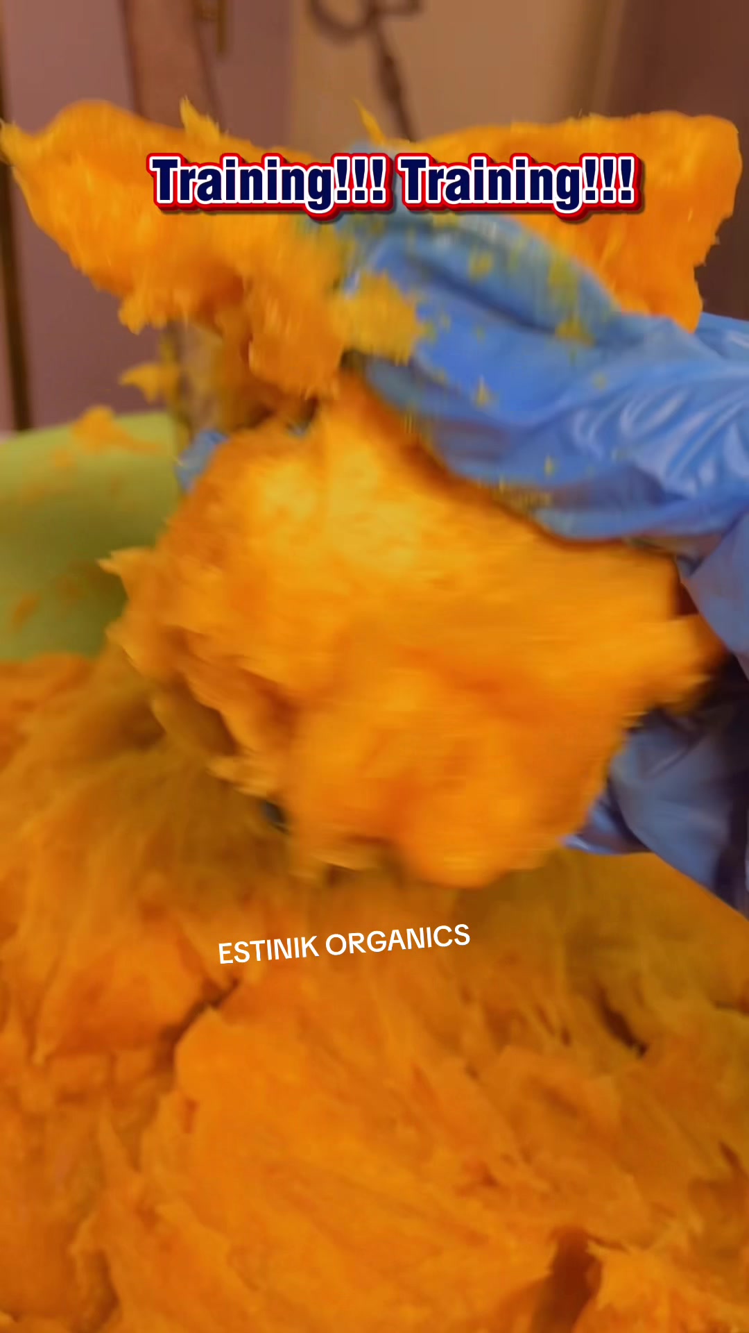 @EstinikBeautySecrets