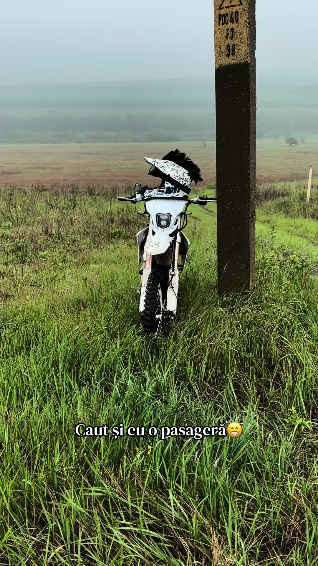 @dra_g80