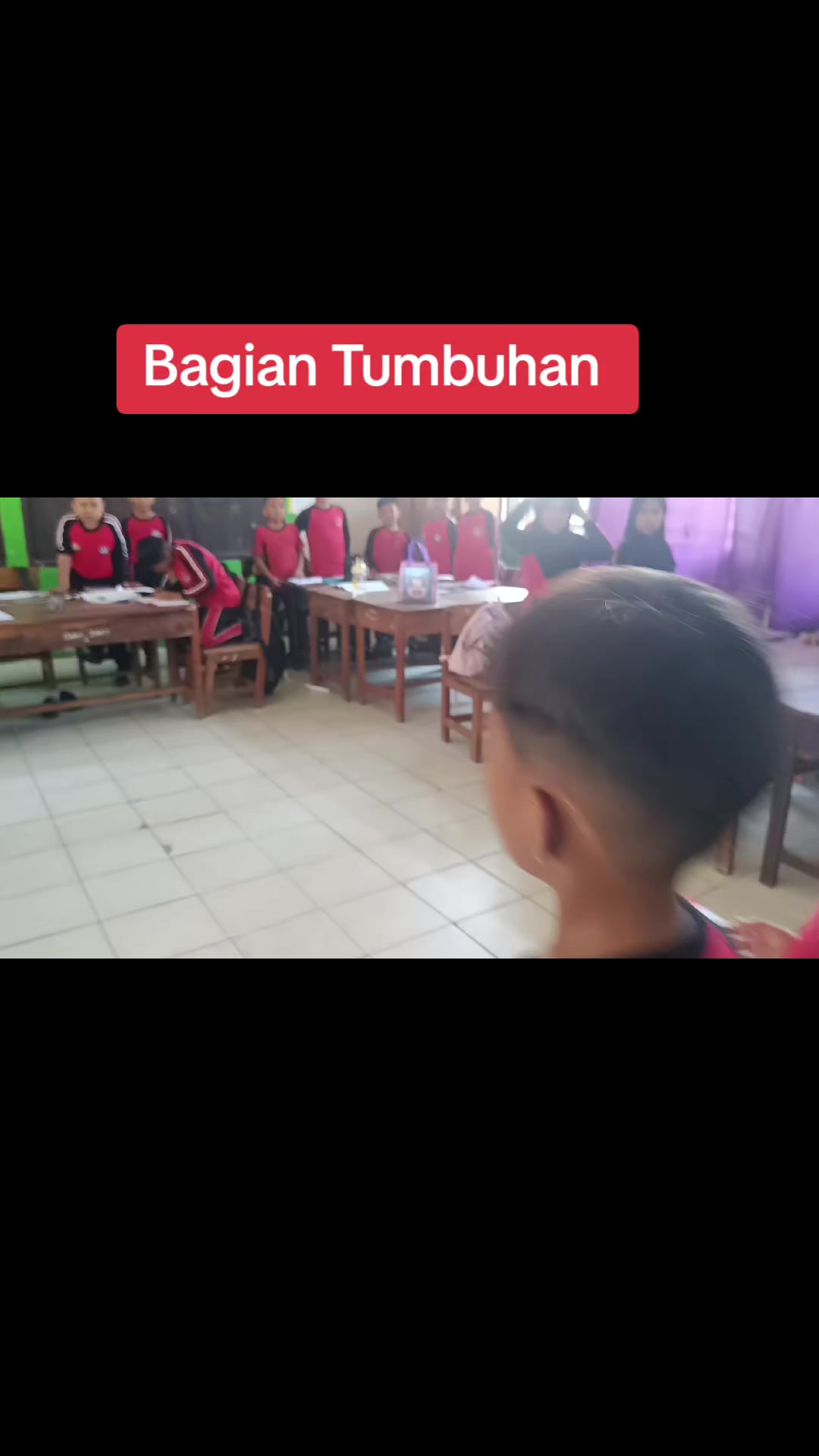 @Alfianti