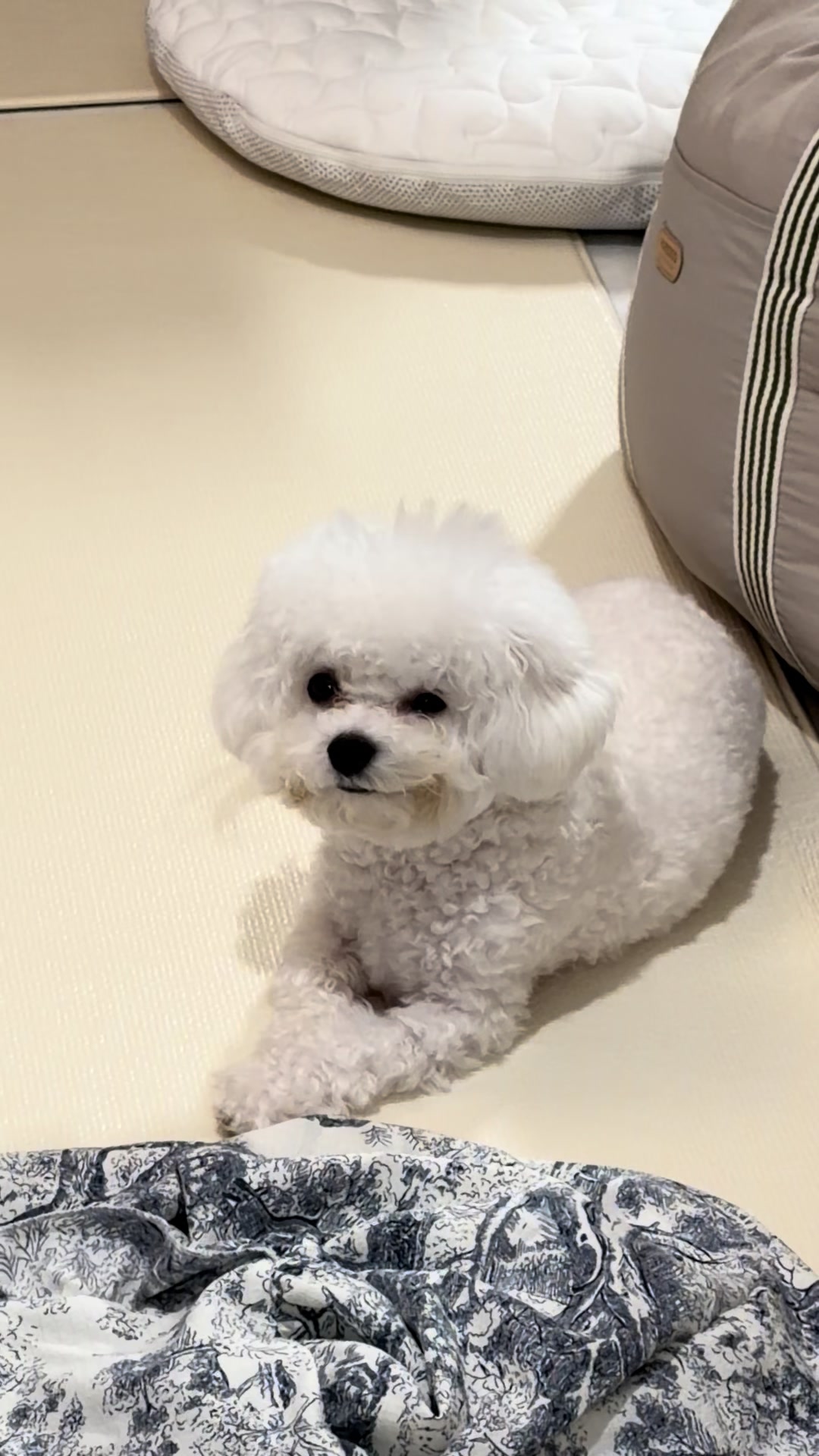 @jeju_kiki