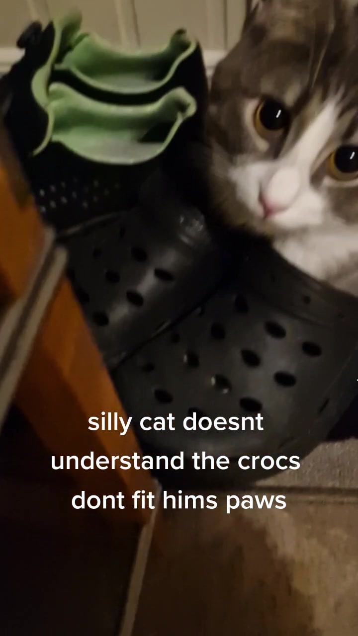 @Stu and Sammy