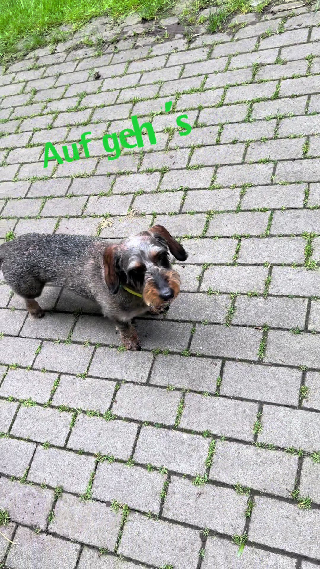 @Ichsch&uuml;tzekinderundtiere