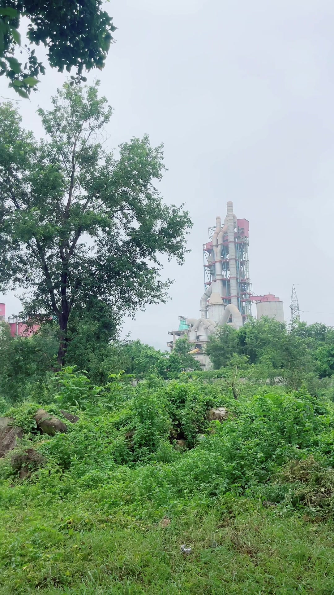 @मिस्टर महाराज 🫅