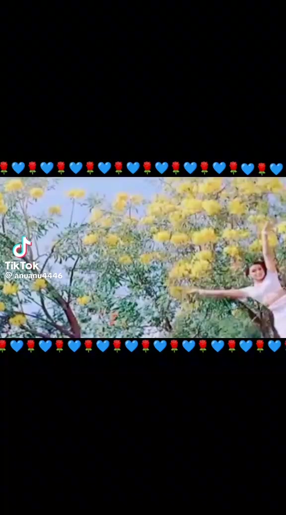 @vamsi vamsi