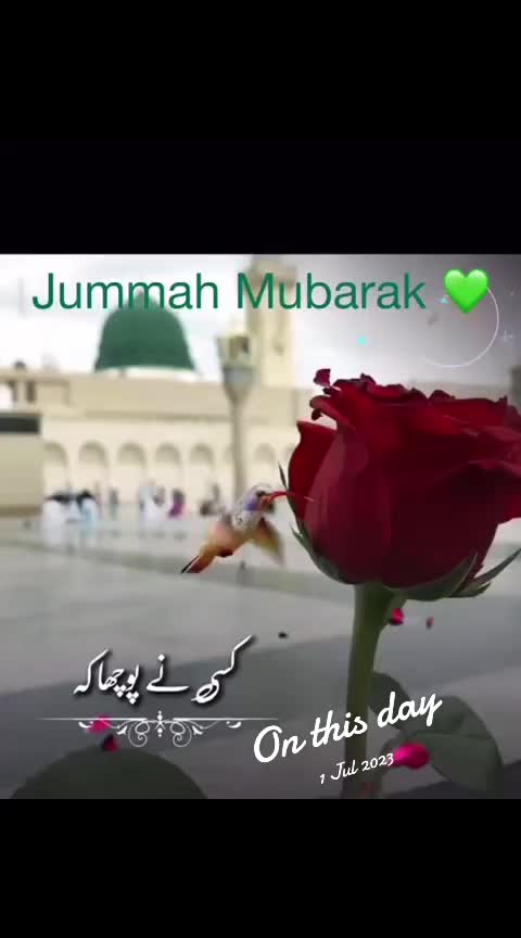 @Pari786