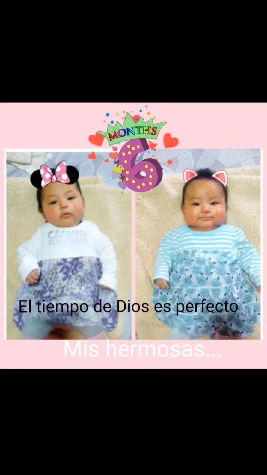 @🩷Yanesita 🩷