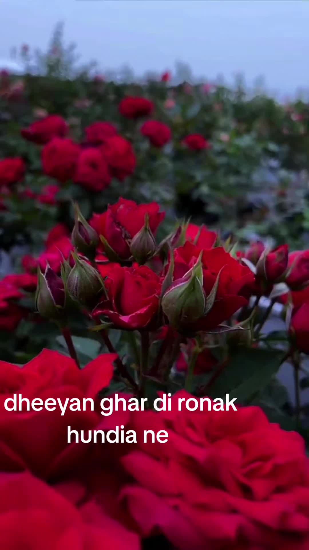 @deepti kumari