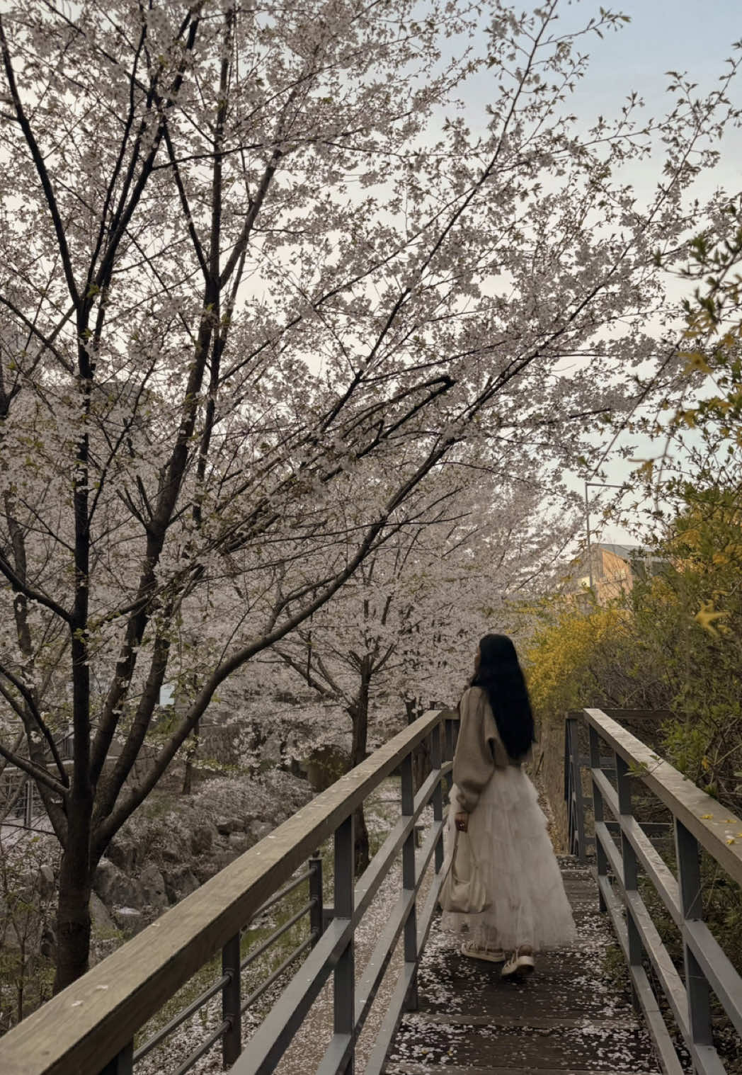 @Mim🕊️
