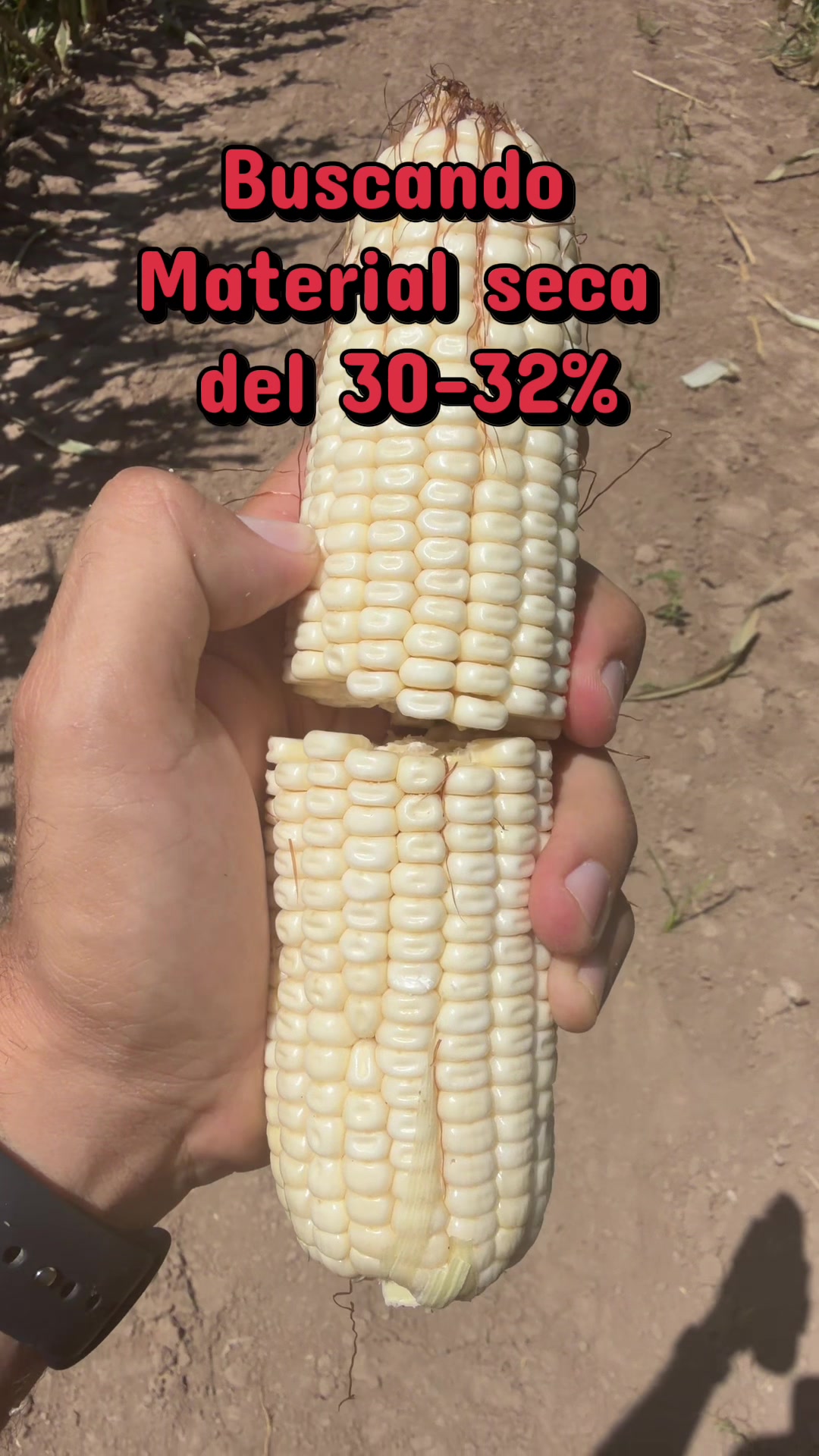 @Pablo Villarreal