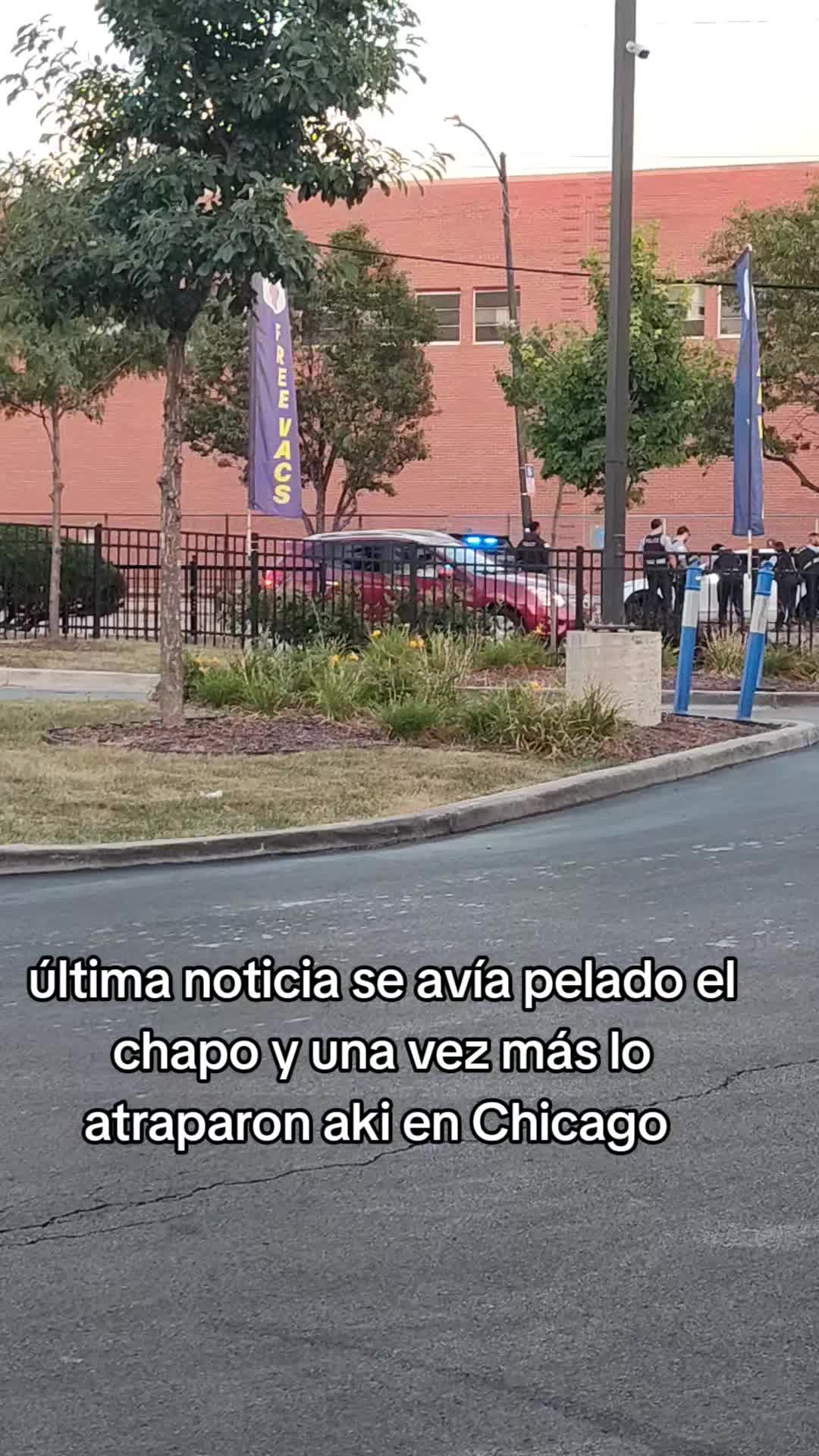 @pinolais vip