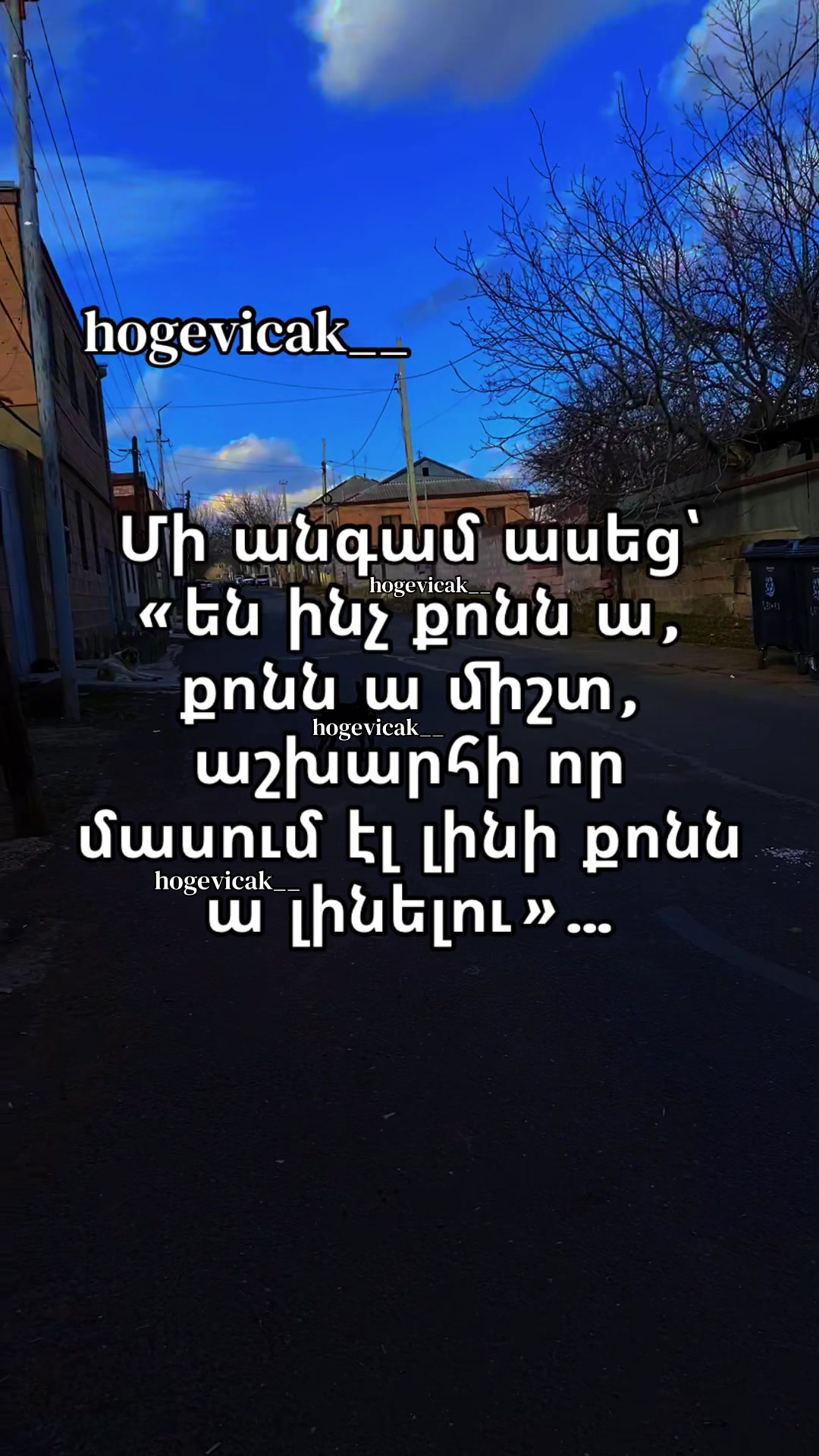 @hogevicak___