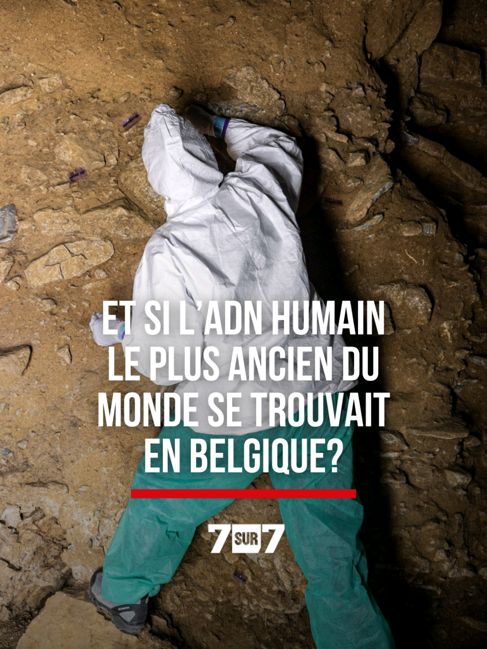 @7sur7.be