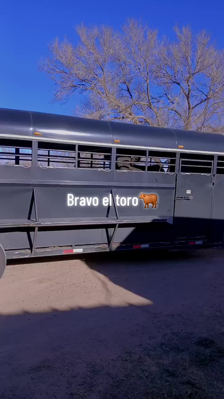@🐬🤠MAMI777🍀🇲🇽