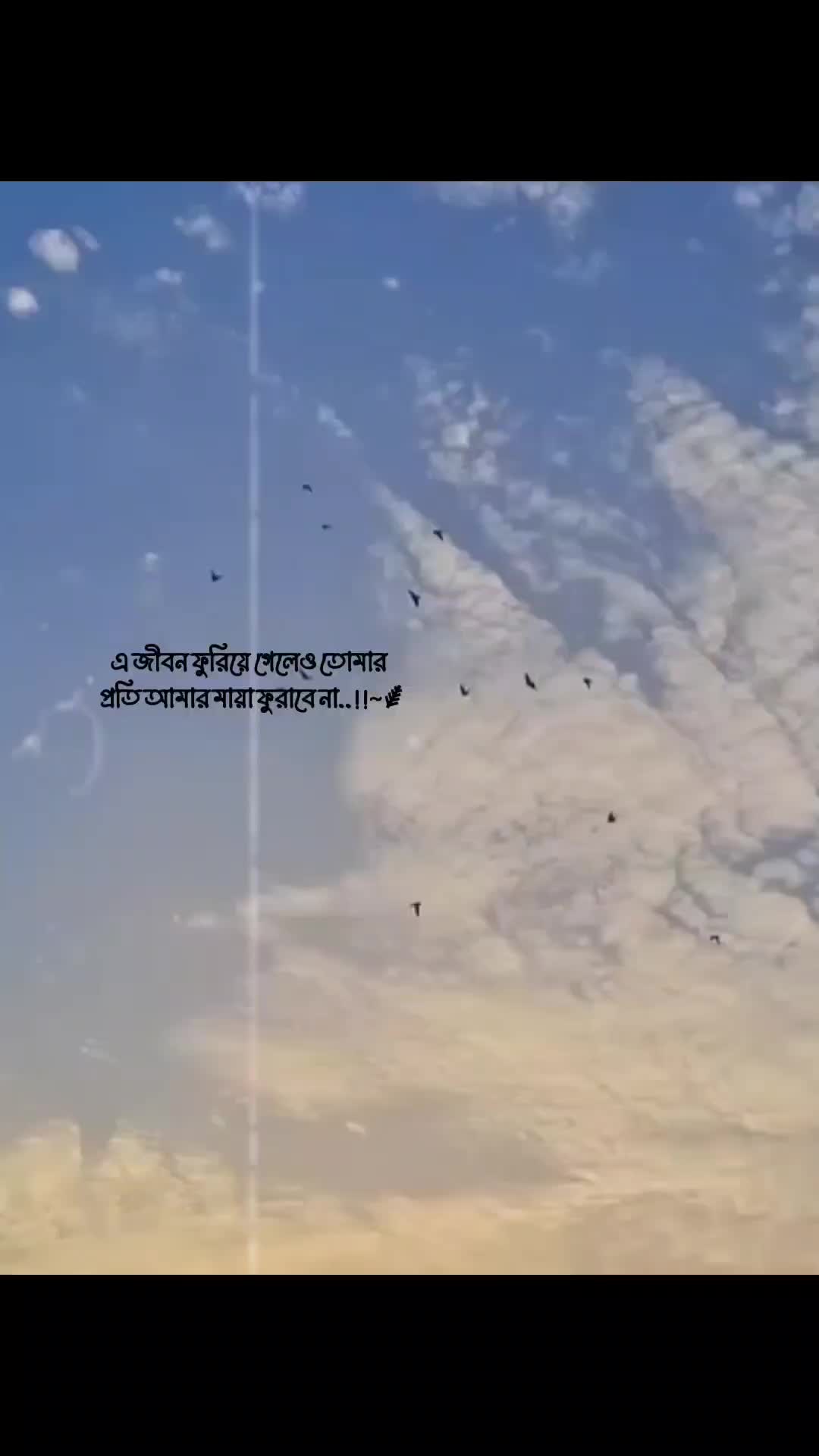 @〲ᴍᴇʜᴇᴅɪ 卝 ⸙