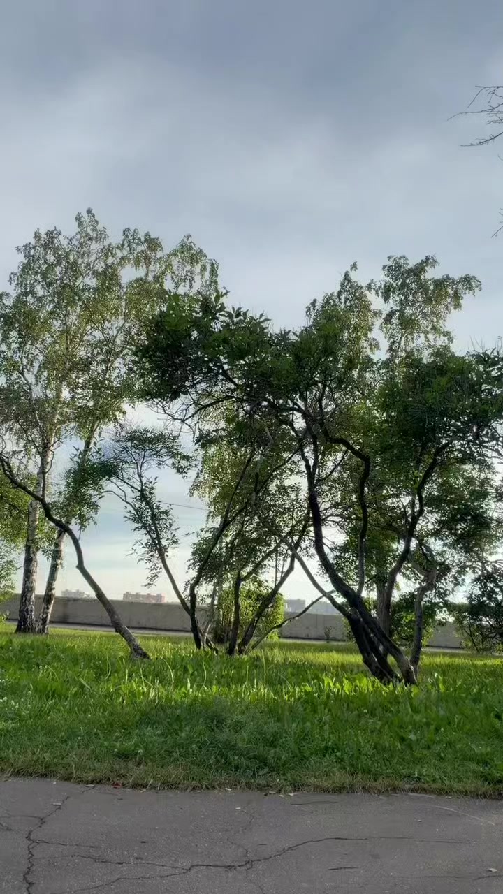 @эровита