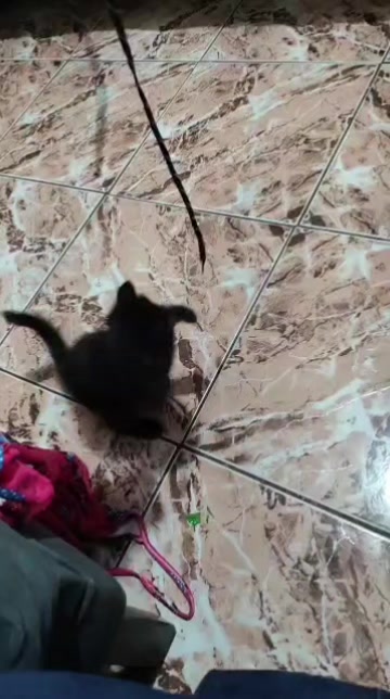 @VISTINN 🤘🏽🥷